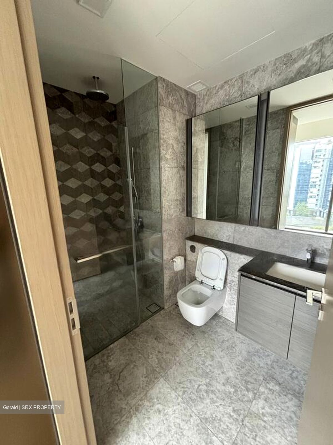 Leedon Green (D10), Condominium #528351701